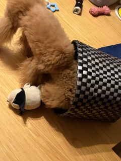 ���T���Ă�񂾂��H