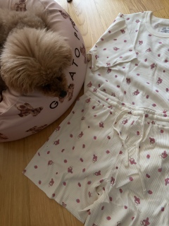 ������❣️