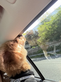 ���V�C�������[☀️