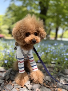 �������V�C☀️.��