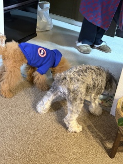 ���[�O���g