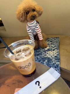 �Ă�������☕️