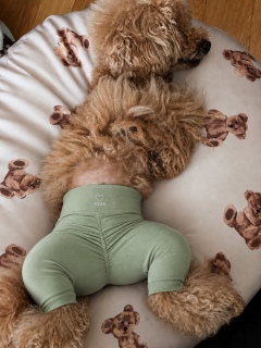 ���s���