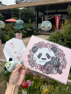 🐼���