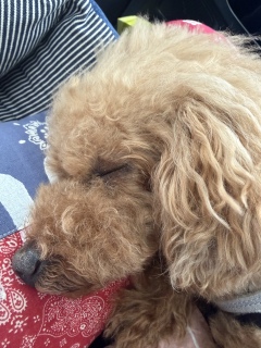 ���₷��💤