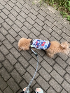 ������