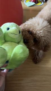 �I������