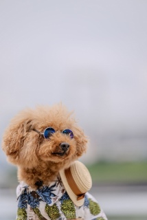 �`�������ȁ[🕶️