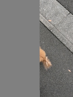 念の為