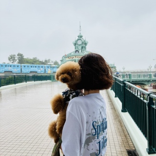 �W���r���[
