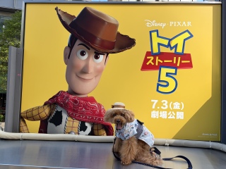 �߂��邵�A�N�Z�T���[