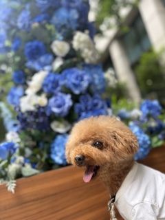 �钆�̒n�k