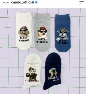 �����̌C��🧦