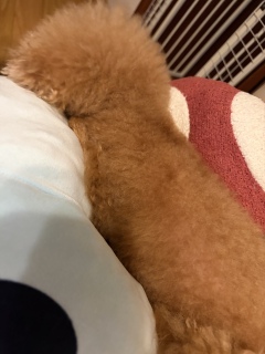 �J�������ˁ[