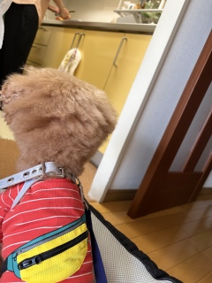 ��l����