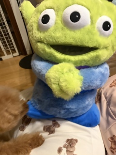 ����