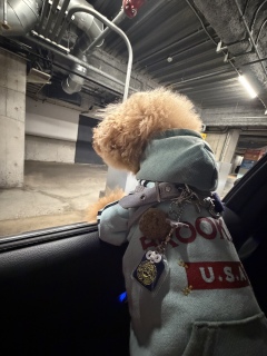 �܂����Ȃ�🚗³₃